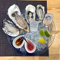四ツ橋・新町 牡蠣と肉たらしビストロAKIRA - 