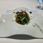 オトワ レストラン - 栃木旬野菜