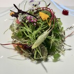 オトワ レストラン - 栃木旬野菜