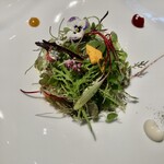 オトワ レストラン - 栃木旬野菜