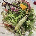 オトワ レストラン - 栃木旬野菜