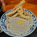 本格讃岐うどん まるちゃん - イカ天ざるうどんｕｐ