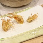 天ぷら 蕎楽亭 - 