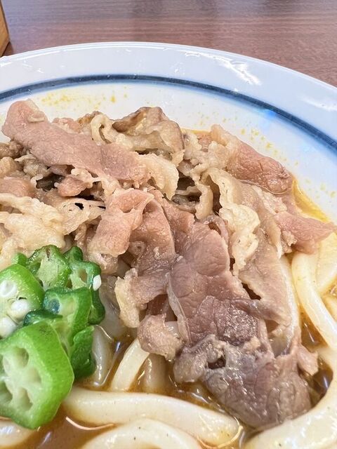 Tsurumaru Udon Daiburutosaboriten photo 5