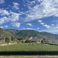 伊勢宮川の里 鄙茅 - 