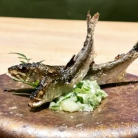 春吉くじら - 