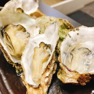 かき忠ハウス_0