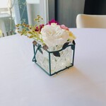 ラ・プレーヌ・リュヌ  - 