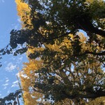 キハチ - テラス席からの景色