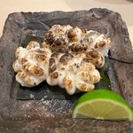Sushi Sakuragi - 