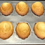 スガラボヴィー - 