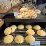 パーネデリシア - 