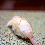 鮨匠 のむら - ナミクダヒゲエビ