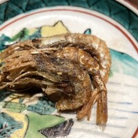 日々魚数寄 東木 - 