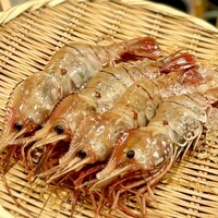 鮨 やすみつ - すんごい立派な牡丹海老なんです！
