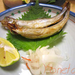 岸上 - 日高産 本柳葉魚