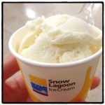 サンルームスイーツ - 沖縄物産展のイートインで頂きました。スノーラグーンアイスクリーム・塩パイン味です。サッパリした甘みで食べやすい♬気に入ったので家族にもお土産で買って帰りましたo(^▽^)o