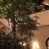 マディソン ニューヨーク キッチン - 