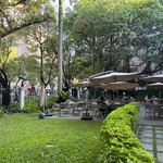 羊毛與花‧ 光點 - テラス席全景