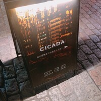 CICADA - 