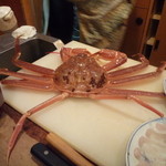 おみの - 越前蟹、料理前