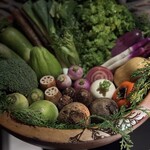 レフェルヴェソンス - 