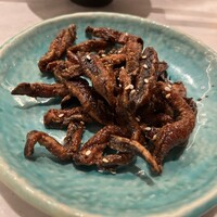 CINA New Modern Chinese - 