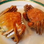 Kakin Hanten - 上海蟹