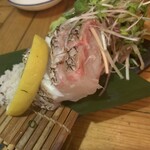 グッドフェロウズ - 真鯛つくり