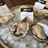 Shrimp&Oyster House - 牡蠣の日でフレッシュオイスターが半額！