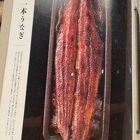 うなぎ四代目菊川 ミッドランドスクエア 名古屋本店 - 