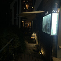 coci - 