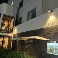 coci - 