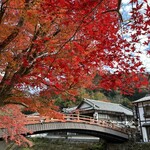 橋本屋 - 