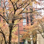 ブリコラージュ ブレッド アンド カンパニー - 