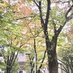 ブリコラージュ ブレッド アンド カンパニー - 