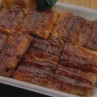 炭焼うな富士 大丸京都別邸 - うなぎ丼