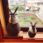 おしかの丘食堂 - トナカイ親子