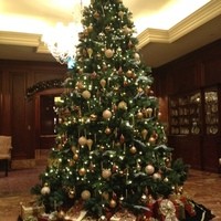 スプレンディード - ロビーのクリスマスツリー