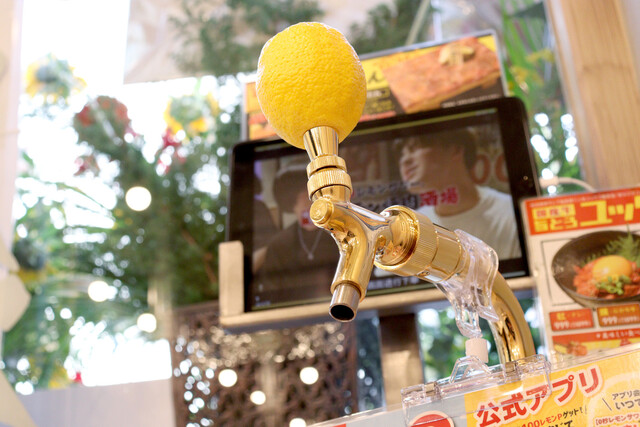 0秒レモンサワー仙台ホルモン焼肉酒場ときわ亭 松山二番町店 - 大街道