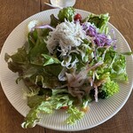 オーシャン ハーベスト ココモ - 