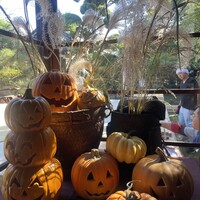 国登録文化財 二木屋 - 