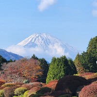 ヴェル・ボワ - 