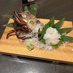 伊勢海老　海鮮蒸し料理　華月 - 伊勢海老のお造り