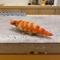 鮨 神楽 - 車海老