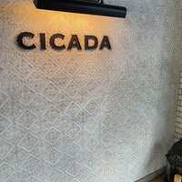 CICADA - 