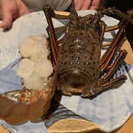 肥後橋 魚で乾杯 うず潮 - 