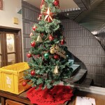 タパス＆タパス - 店頭に飾られたクリスマスツリー