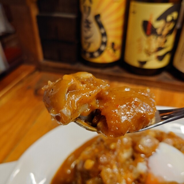 日乃屋カレー 旭川秋月店 - 新旭川（カレー）の写真