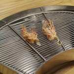 てんぷらと和食 山の上 - 海老の足